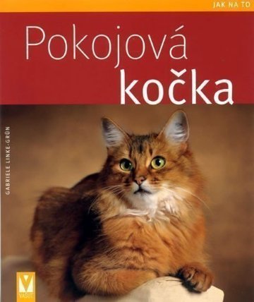 Pokojová kočka - Jak na to