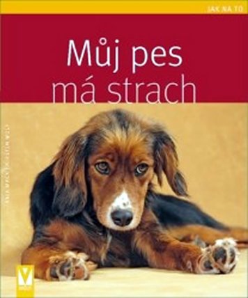 Můj pes má strach - Jak na to