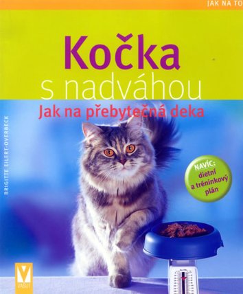 Kočka s nadváhou - Jak na přebytečná deka - Jak na to