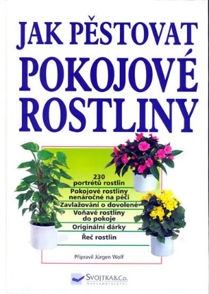 Jak pěstovat pokojové rostliny