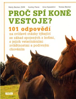 Proč spí koně vestoje?