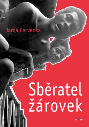 Sběratel žárovek a další povídky z různých koutů světa