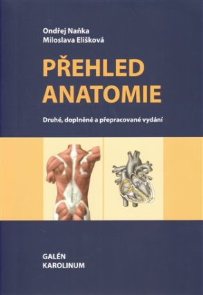 Přehled anatomie