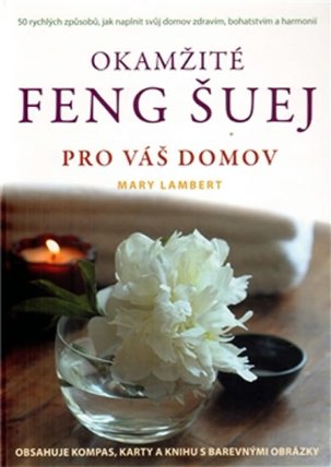 Okamžité Femg Šuej pro váš domov