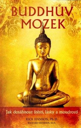 Buddhův mozek