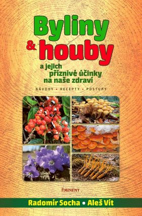 Byliny a houby a jejich přiznivé účinky na naše zdraví