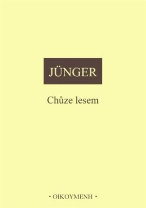 Chůze lesem