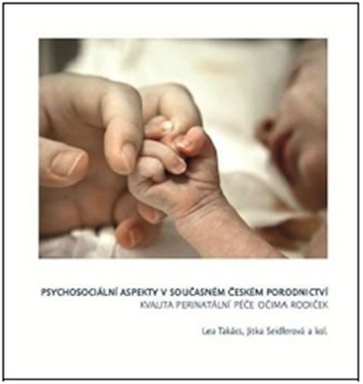 Psychosociální aspekty v současném českém porodnictví
