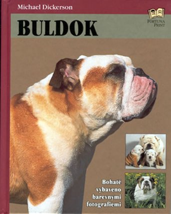Buldok 