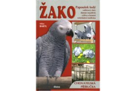 Žako Papoušek šedý