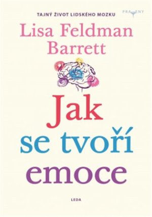 Jak se tvoří emoce - Lidský mozek pracuje jinak, než jsme mysleli