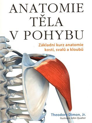 Anatomie těla v pohybu