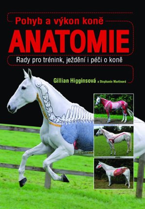 Pohyb a výkon koně - Anatomie