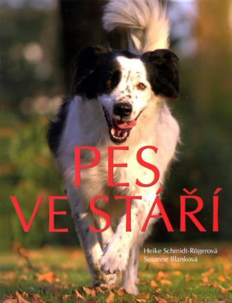 Pes ve stáří