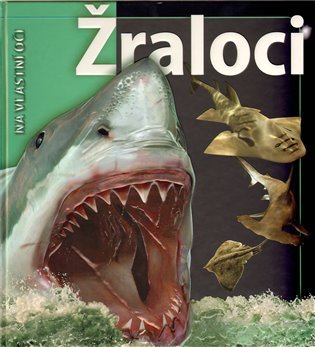 Žraloci - Na vlastní oči