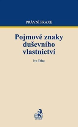 Pojmové znaky duševního vlastnictví