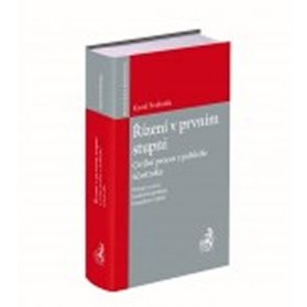 Řízení v prvním stupni: Civilní proces z pohledu účastníka