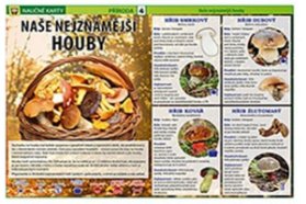 Naše nejznámější houby - Naučné karty