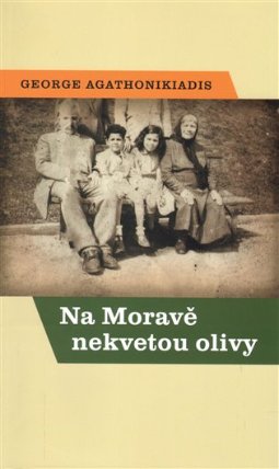 Na Moravě nekvetou olivy