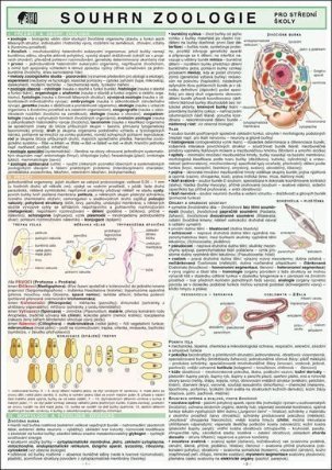 SOUHRN ZOOLOGIE pro SŠ A4