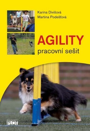 Agility - Pracovní sešit