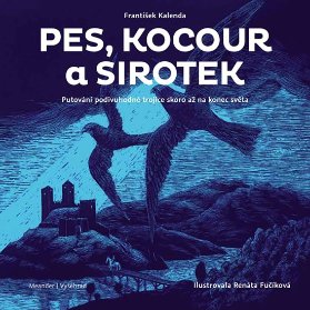 Pes, kocour a sirotek - Putování podivuhodné trojice skoro až na konec světa