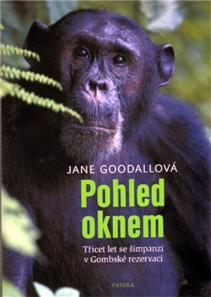 Pohled oknem