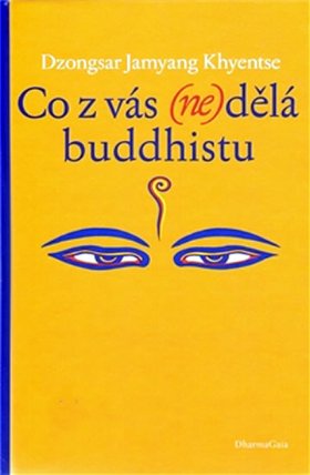 Co z vás (ne)dělá buddhistu