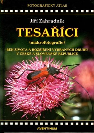 Tesaříci (makrofotografie)