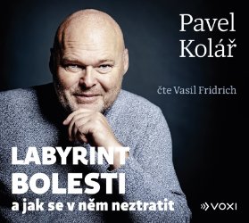 CD Labyrint bolesti () - audiokniha