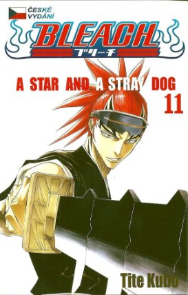 Bleach 11 - A Star and a Stray Dog