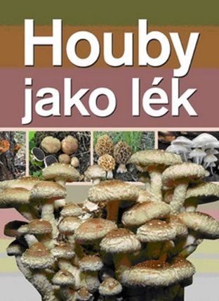 Houby jako lék