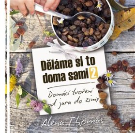Děláme si to doma sami 2 - Domácí tvoření od jara do zimy