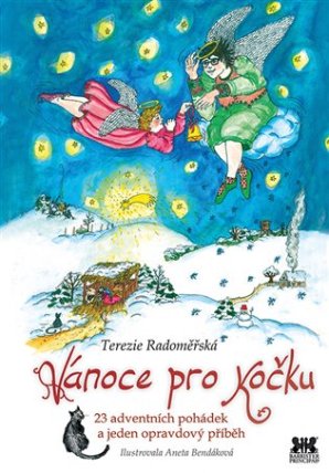 Vánoce pro kočku