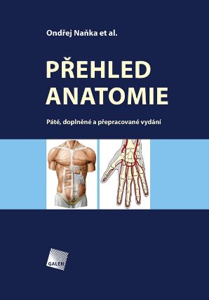 Přehled Anatomie