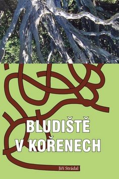 Bludiště v kořenech
