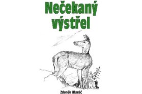 Nečekaný výstřel