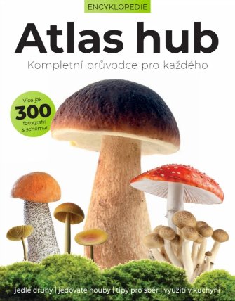 Atlas hub
