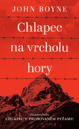 Chlapec na vrcholu hory