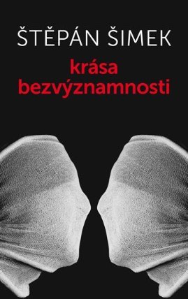 Krása bezvýznamnosti