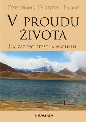 V proudu života - Jak zažívat štěstí a naplnění