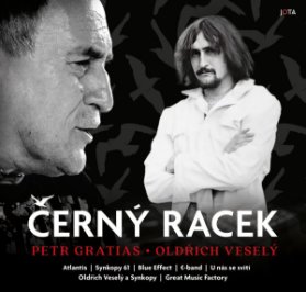 Černý racek