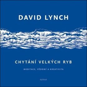 Chytání velkých ryb - Meditace, vědomí a kreativita