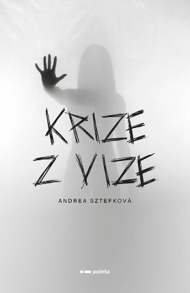Krize z vize