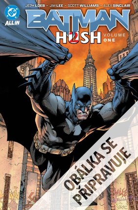 Batman - Ticho 2, kniha první