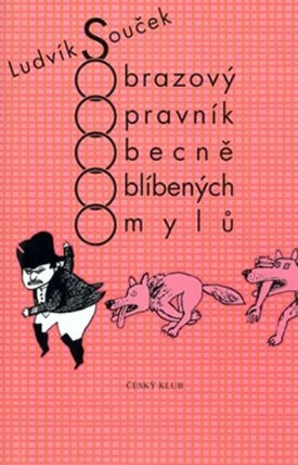 Obrazový opravník obecně...