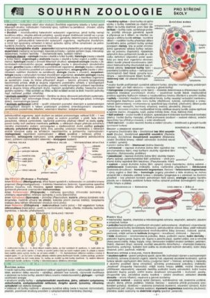 Souhrn zoologie pro SŠ