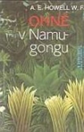 Ohně v Namugongu