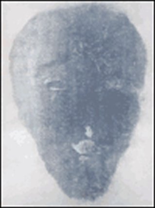 Tvář/Face