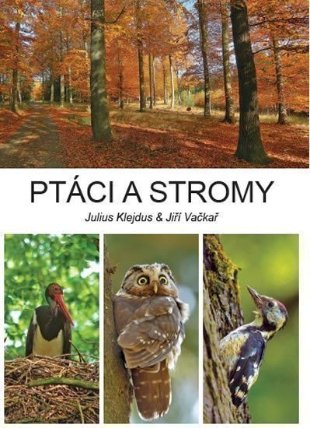 Ptáci a stromy